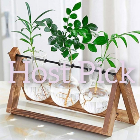 Other - Desktop Glass Planter 3 Bulb Vase